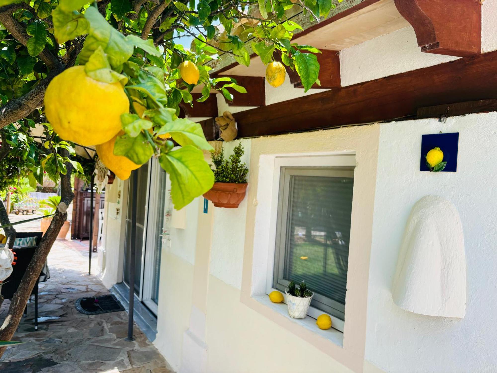 Casita Limon Andratx Villa Exterior foto